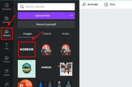 How To Create a Mirror Effect in Canva (5 Easy Steps)