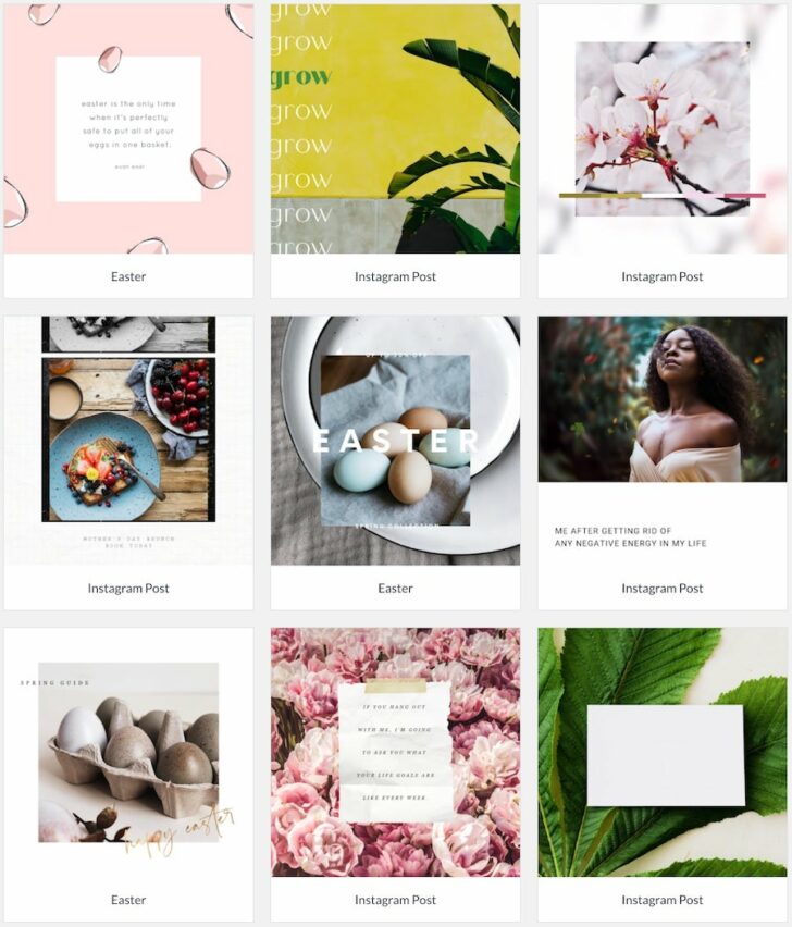 Canva vs PicMonkey: Online Design Tool Comparison